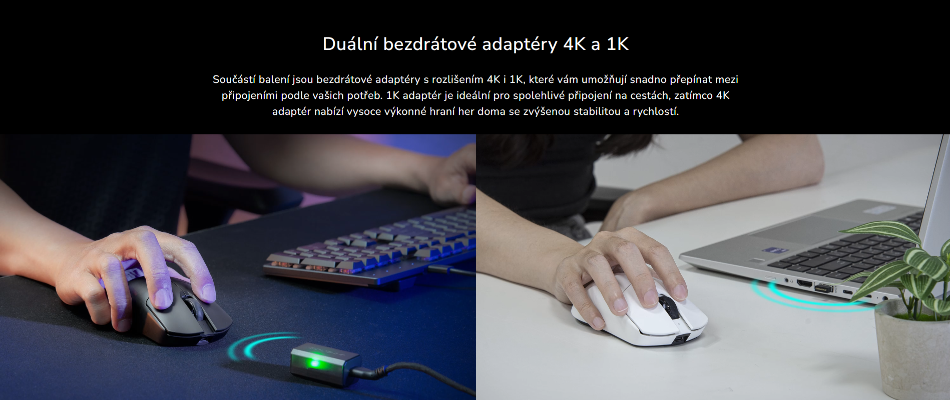 Snímek obrazovky 2026-03-24 114815